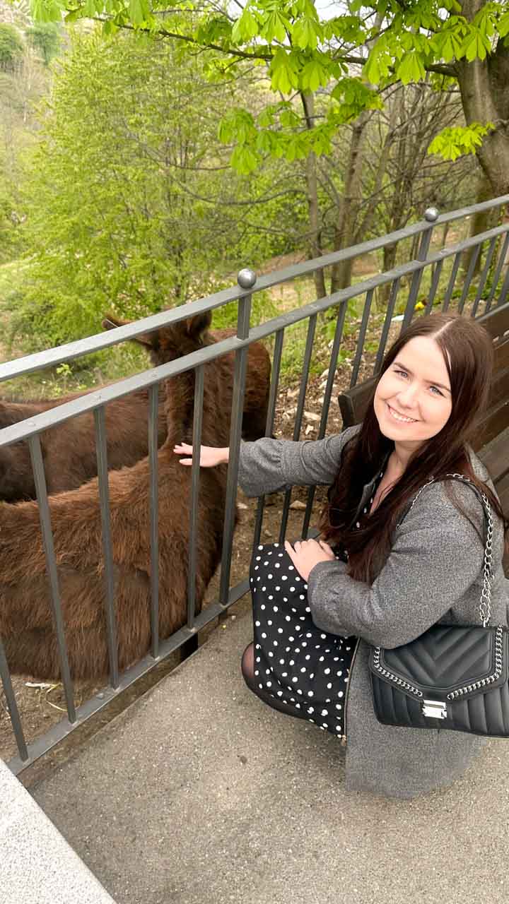 A woman smiling at the camera while crouched down, reaching out to pet a donkey through a railing in Bergamo, Italy